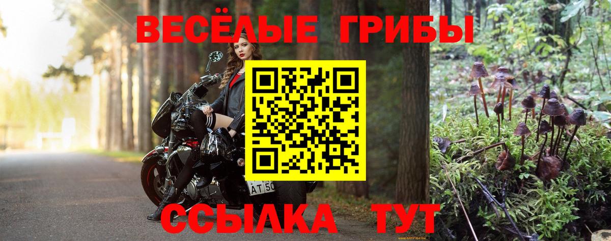 Лосино-Петровский  Псилоцибиновые грибы Cubensis  Вход с VPN 