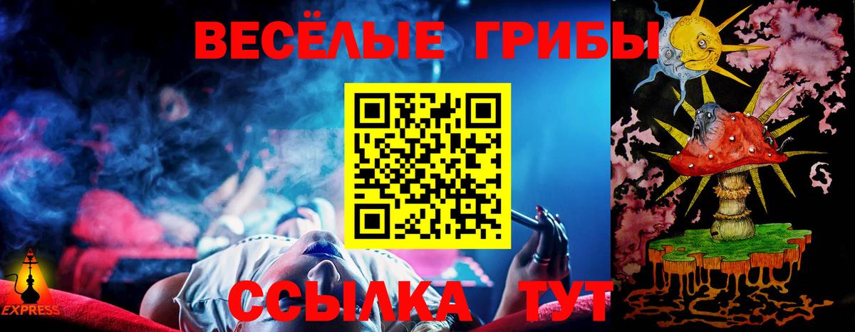 Псилоцибиновые грибы GOLDEN TEACHER Лосино-Петровский